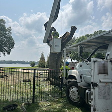 Weeping-Cherry-Tree-Removals-in-Chestertown-MD 5